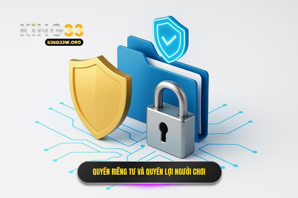 3.quyền Riêng Tư Và Quyền Lợi Của Người Chơi